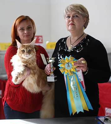 �������� ����� 11-12 ������ 2015 WCF-����� 10-7-169A5452 copy.jpg